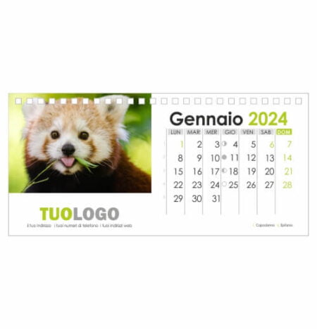 Modello 1