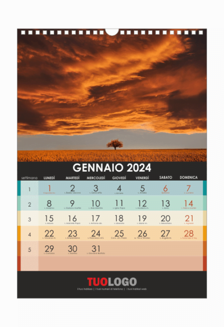 Calendari da muro 13 fogli con spirale - modello 10