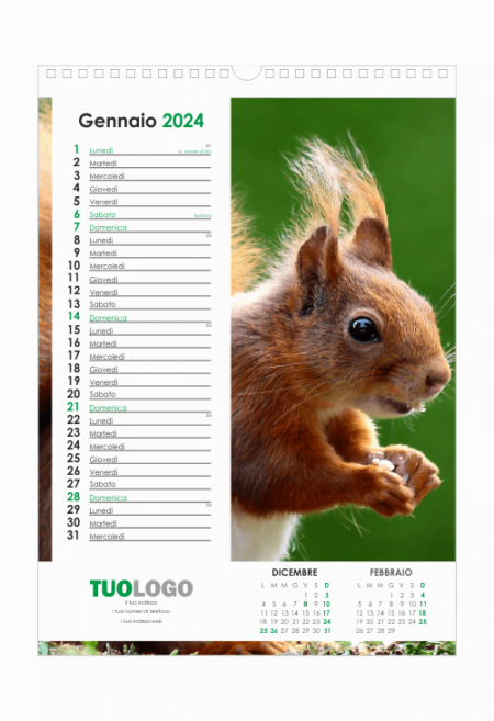 Calendari da muro 13 fogli con spirale - modello 12