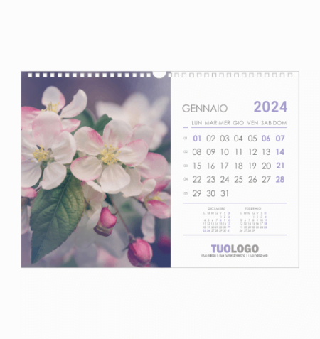 Calendari da muro 13 fogli con spirale - modello 15
