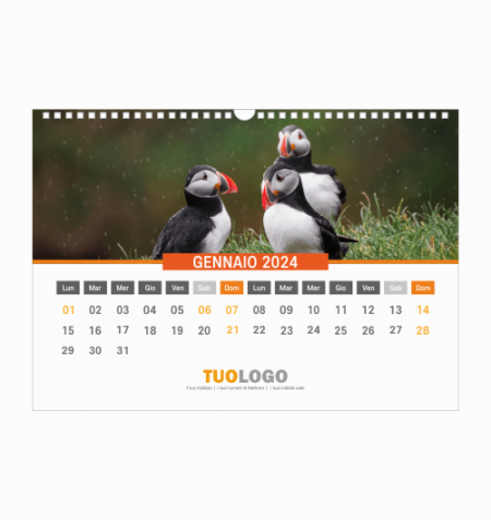 Calendari da muro 13 fogli con spirale - modello 20