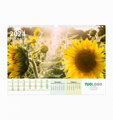 Calendari da muro 13 fogli con spirale - modello 21