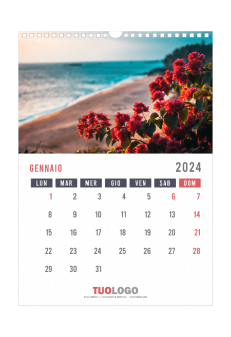 Calendari da muro 13 fogli con spirale - modello 8