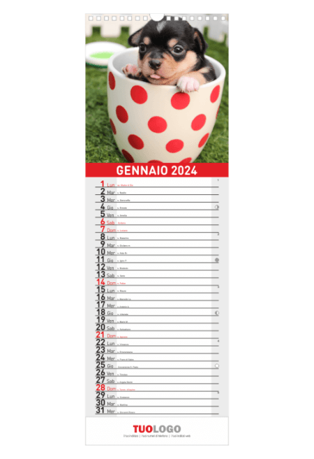 Calendario da muro 15x44 con spirale - modello 2