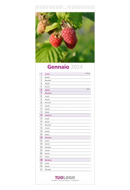 Calendario da muro 15x44 con spirale - modello 8